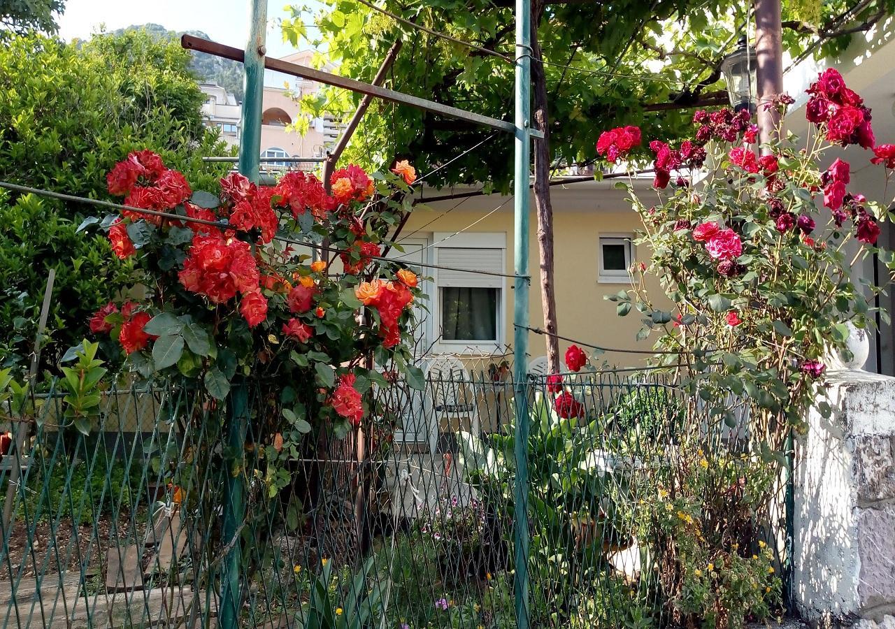 Apartman Lora Budva Exteriér fotografie